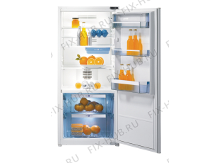 Холодильник Gorenje RI46208 (194911, HKI2027BF) - Фото